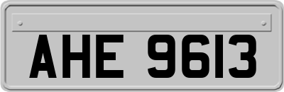 AHE9613