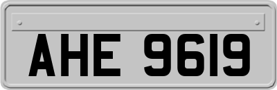 AHE9619