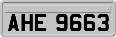 AHE9663