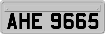 AHE9665