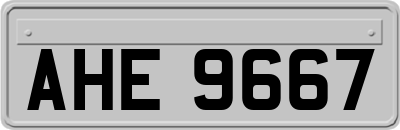 AHE9667
