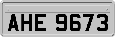 AHE9673
