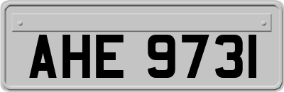 AHE9731