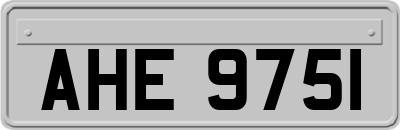 AHE9751