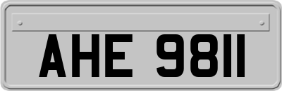 AHE9811