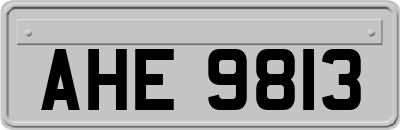 AHE9813