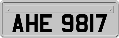 AHE9817