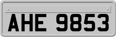 AHE9853