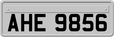 AHE9856