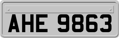 AHE9863