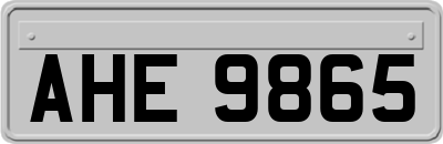 AHE9865