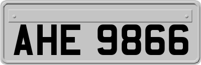 AHE9866