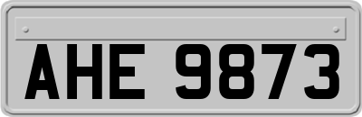 AHE9873