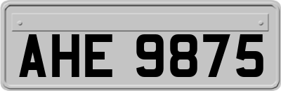 AHE9875