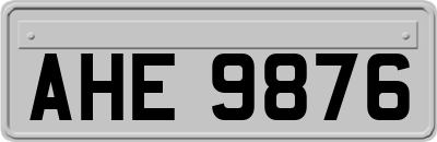 AHE9876