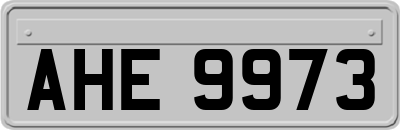 AHE9973