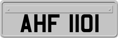 AHF1101