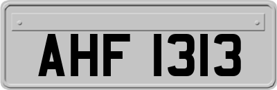 AHF1313