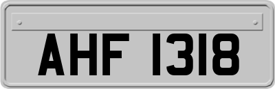 AHF1318