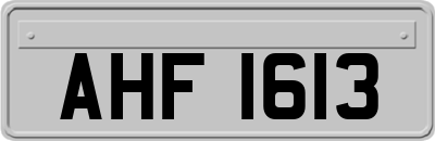 AHF1613