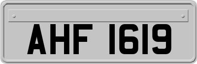 AHF1619
