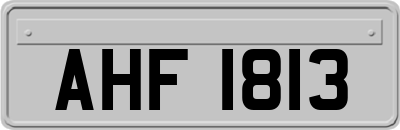 AHF1813