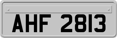 AHF2813