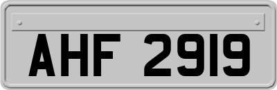 AHF2919