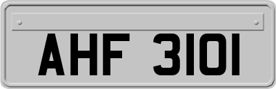 AHF3101