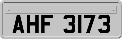AHF3173