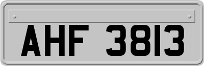 AHF3813