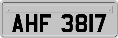 AHF3817