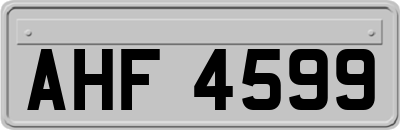 AHF4599