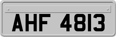 AHF4813