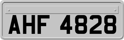 AHF4828