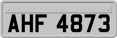 AHF4873