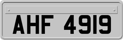AHF4919