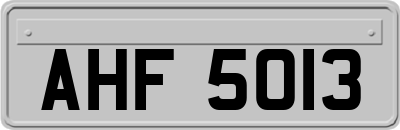 AHF5013