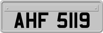 AHF5119