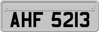AHF5213