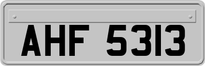 AHF5313