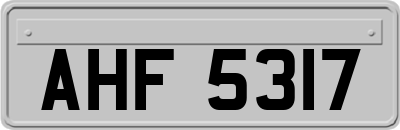 AHF5317