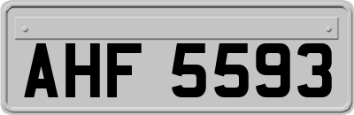 AHF5593