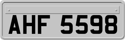 AHF5598