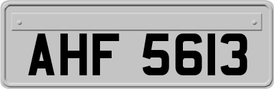 AHF5613