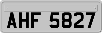 AHF5827