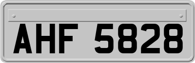 AHF5828