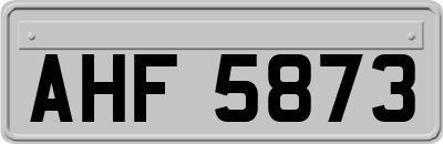 AHF5873