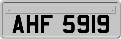 AHF5919