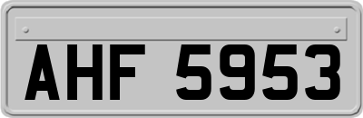 AHF5953